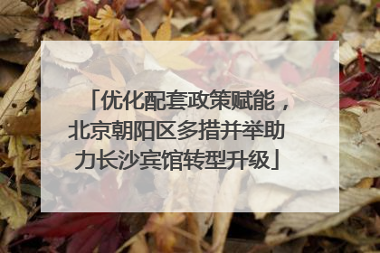 优化配套政策赋能，北京朝阳区多措并举助力长沙宾馆转型升级