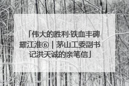 伟大的胜利·铁血丰碑耀江淮⑥｜茅山工委副书记洪天诚的亲笔信