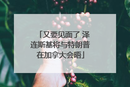 又要见面了 泽连斯基将与特朗普在加拿大会晤