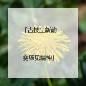 古技呈新韵 赛场见精神