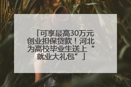 可享最高30万元创业担保贷款！河北为高校毕业生送上“就业大礼包”
