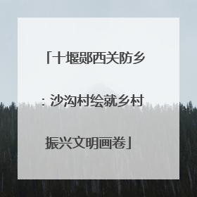 十堰郧西关防乡：沙沟村绘就乡村振兴文明画卷