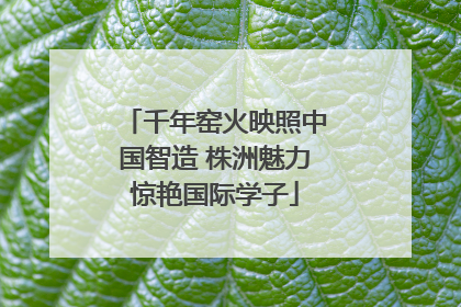 千年窑火映照中国智造 株洲魅力惊艳国际学子
