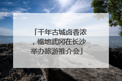 千年古城卤香浓，福地武冈在长沙举办旅游推介会