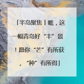 半岛聚焦丨瞧，这一幅青岛好“丰”景！愿你“芒”有所获，“种”有所得