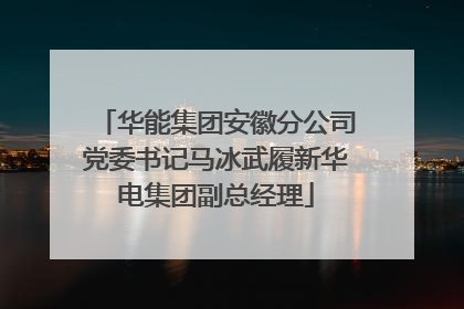 华能集团安徽分公司党委书记马冰武履新华电集团副总经理
