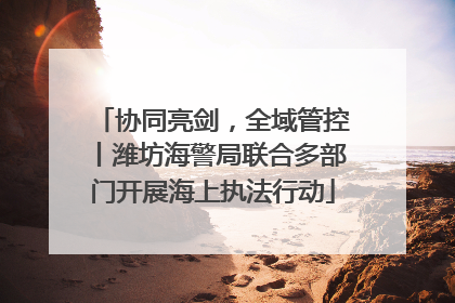 协同亮剑，全域管控丨潍坊海警局联合多部门开展海上执法行动
