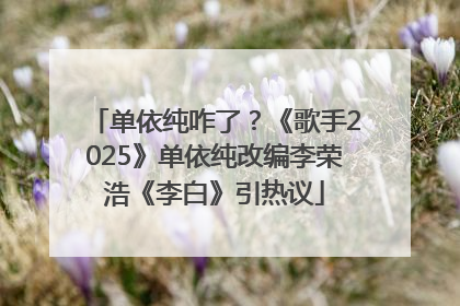 单依纯咋了？《歌手2025》单依纯改编李荣浩《李白》引热议