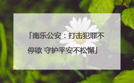南乐公安：打击犯罪不停歇 守护平安不松懈