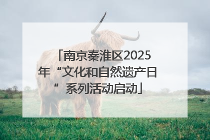 南京秦淮区2025年“文化和自然遗产日”系列活动启动