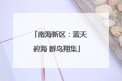 南海新区：蓝天碧海 群鸟翔集