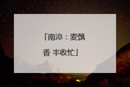 南漳：麦飘香 丰收忙