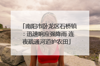南阳市卧龙区石桥镇：迅速响应强降雨 连夜疏通河道护农田