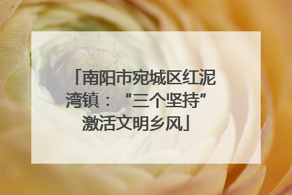 南阳市宛城区红泥湾镇：“三个坚持”激活文明乡风