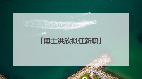博士洪欣拟任新职