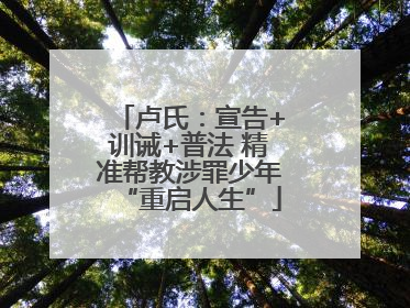 卢氏：宣告+训诫+普法 精准帮教涉罪少年“重启人生”