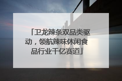 卫龙辣条双品类驱动，领航辣味休闲食品行业千亿赛道