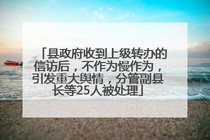 县政府收到上级转办的信访后，不作为慢作为，引发重大舆情，分管副县长等25人被处理