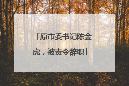 原市委书记陈金虎，被责令辞职