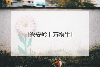 兴安岭上万物生