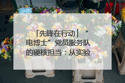 先锋在行动 ▏“电博士”党员服务队的硬核担当：从实验室到抗洪一线