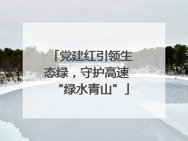党建红引领生态绿，守护高速“绿水青山”