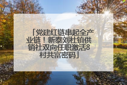党建红链串起全产业链！新泰刘杜镇供销社双向任职激活8村共富密码