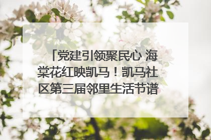 党建引领聚民心 海棠花红映凯马！凯马社区第三届邻里生活节谱写幸福新篇章