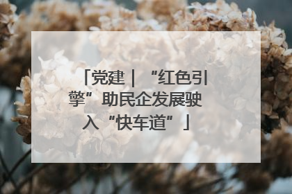 党建｜“红色引擎”助民企发展驶入“快车道”