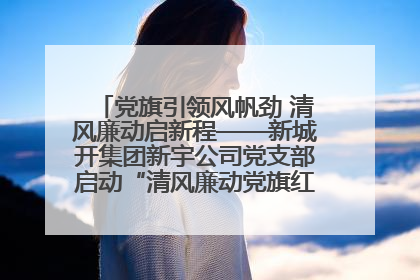 党旗引领风帆劲 清风廉动启新程——新城开集团新宇公司党支部启动“清风廉动党旗红”系列活动