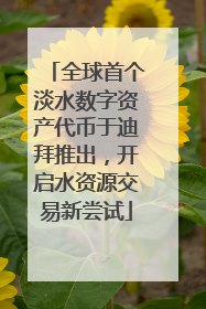 全球首个淡水数字资产代币于迪拜推出，开启水资源交易新尝试