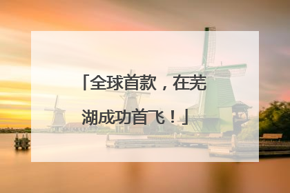 全球首款，在芜湖成功首飞！