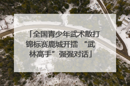全国青少年武术散打锦标赛鹿城开擂 “武林高手”强强对话