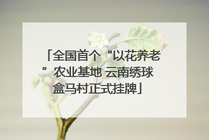 全国首个“以花养老”农业基地 云南绣球盒马村正式挂牌