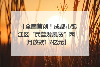 全国首创！成都市锦江区“民营发展贷”两月放款1.7亿元