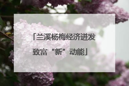 兰溪杨梅经济迸发致富“新”动能