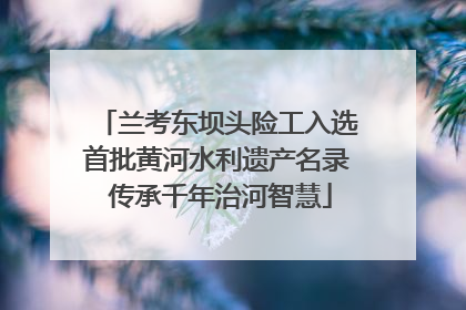 兰考东坝头险工入选首批黄河水利遗产名录 传承千年治河智慧
