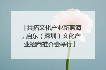 共拓文化产业新蓝海，启东（深圳）文化产业招商推介会举行