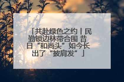 共赴绿色之约丨民勤锁边林带合围 昔日“和尚头”如今长出了“披肩发”
