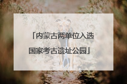 内蒙古两单位入选国家考古遗址公园