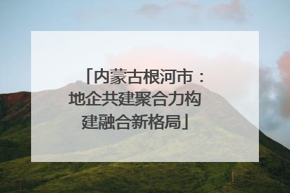 内蒙古根河市：地企共建聚合力构建融合新格局