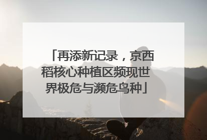 再添新记录，京西稻核心种植区频现世界极危与濒危鸟种