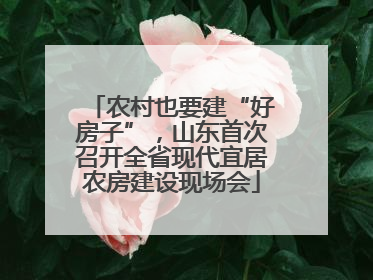 农村也要建“好房子”，山东首次召开全省现代宜居农房建设现场会