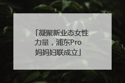 凝聚新业态女性力量，浦东Pro妈妈妇联成立