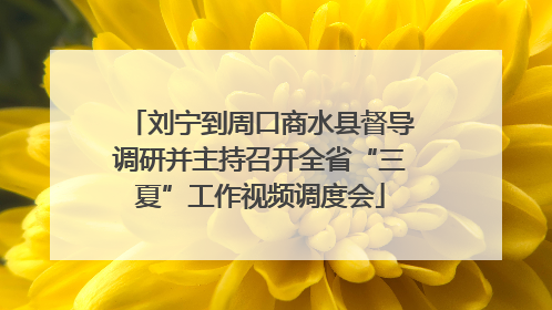 刘宁到周口商水县督导调研并主持召开全省“三夏”工作视频调度会