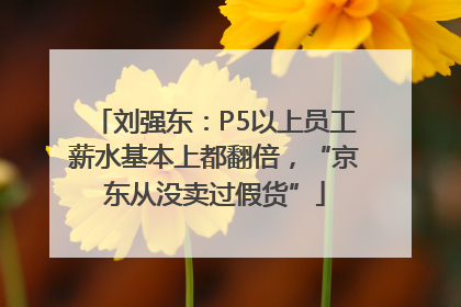 刘强东：P5以上员工薪水基本上都翻倍，“京东从没卖过假货”