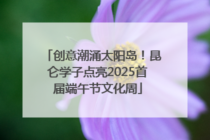 创意潮涌太阳岛！昆仑学子点亮2025首届端午节文化周