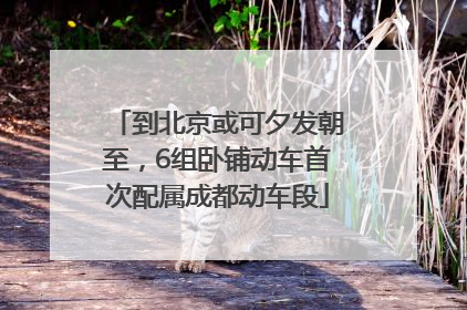 到北京或可夕发朝至，6组卧铺动车首次配属成都动车段