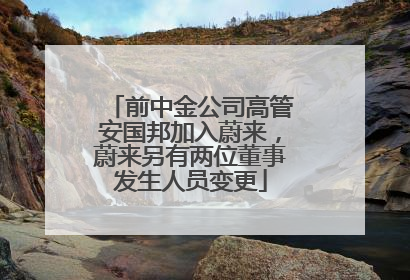 前中金公司高管安国邦加入蔚来，蔚来另有两位董事发生人员变更
