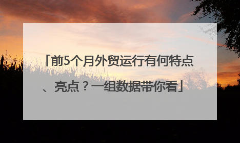 前5个月外贸运行有何特点、亮点？一组数据带你看